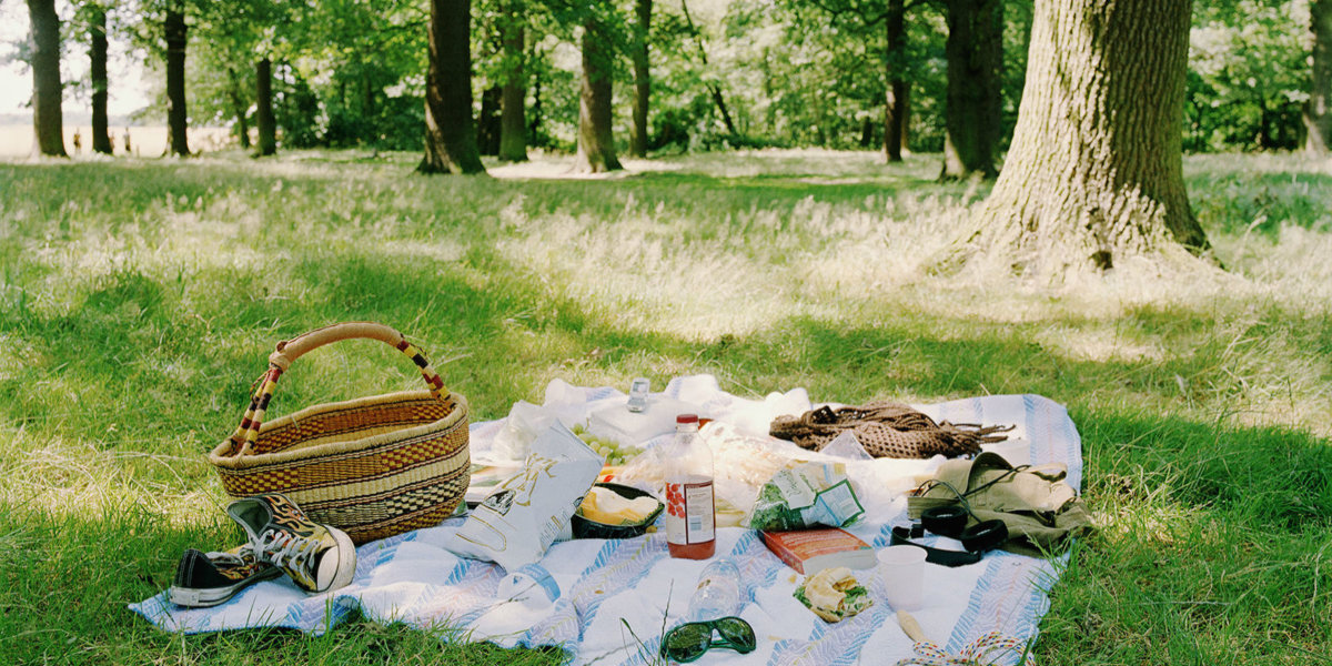Pretty picnic with raven bays