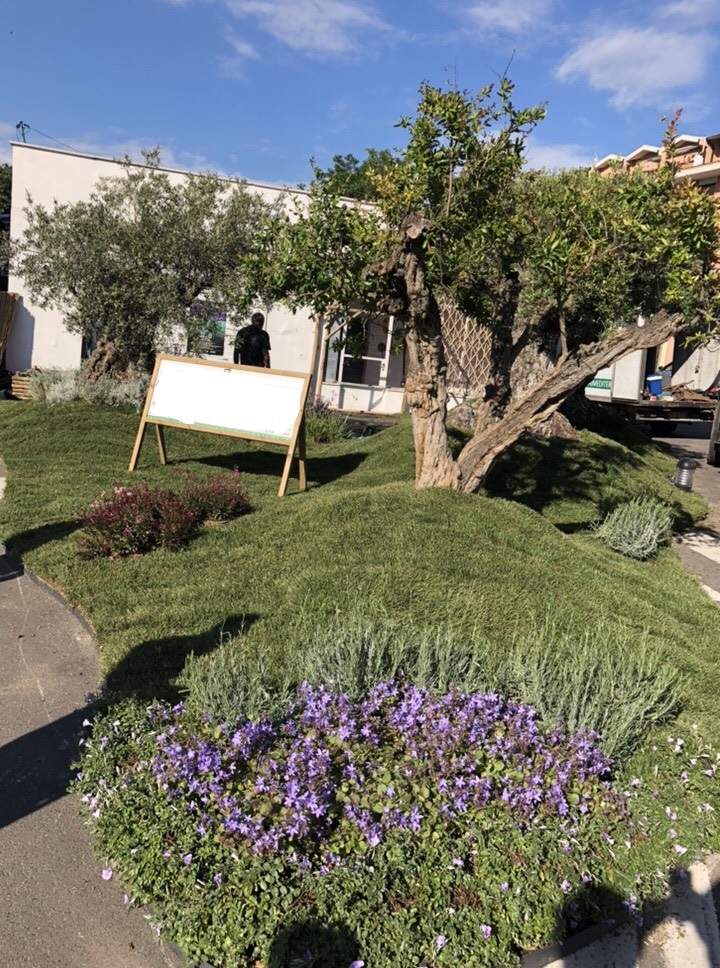 Sagra Dellasparago Verde Di Montalto Di Castro Terzo Binario News