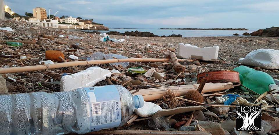 Santa Marinella Domenica Pulizia Delle Spiagge Con Sopra E Sotto Il