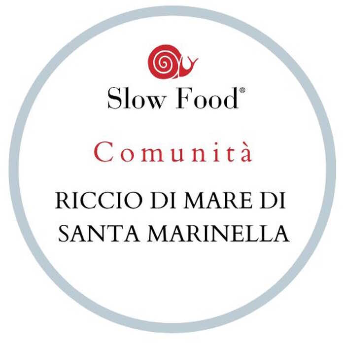 La Fondazione Slow Food Presenta La Comunit Del Riccio Di Mare Di