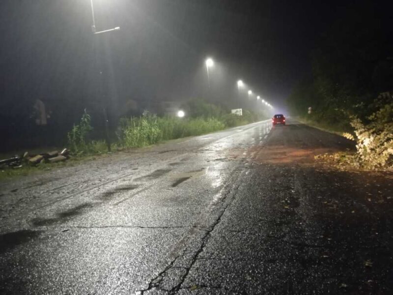 Ore Di Vento Forte Su Cerveteri Raffiche Abbattono Un Albero In Via