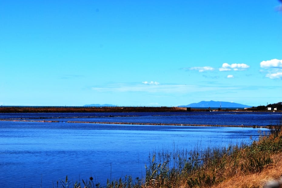 Tarquinia Tragedia Alle Saline 26enne Viterbese Si Spara