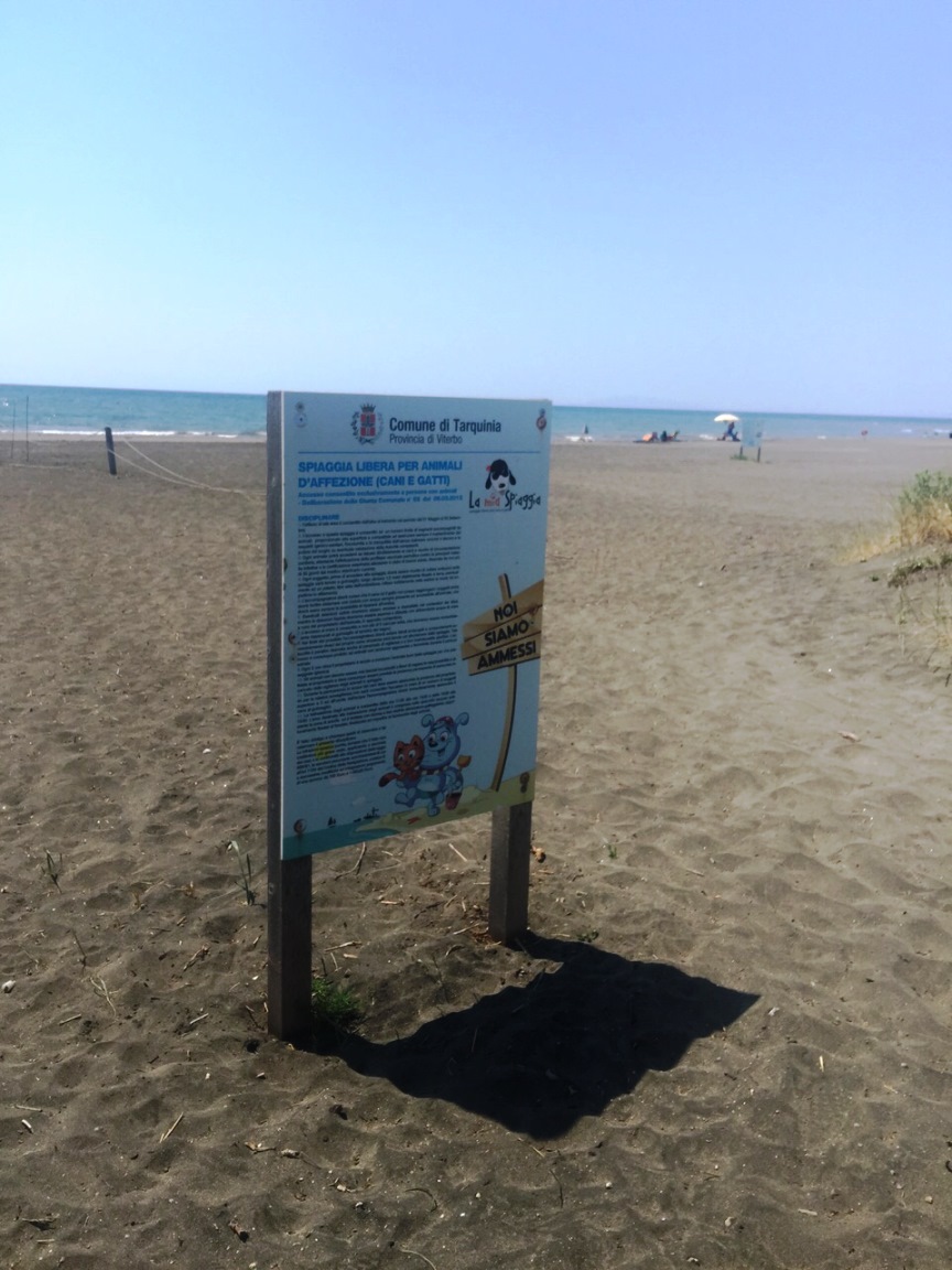 Tarquinia Spiaggia Riservata Ai Cani Al Lido Terzo