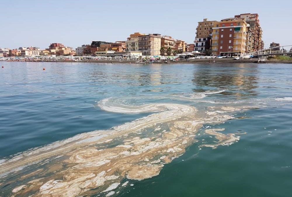 Ladispoli, spariscono i mastelli dell'umido  e i rifiuti -   - Quotidiano online di ladispoli cerveteri e litorale nord  di Roma