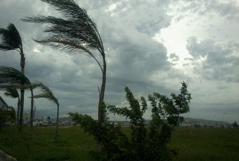 Allerta meteo per vento forte su tutta la Regione