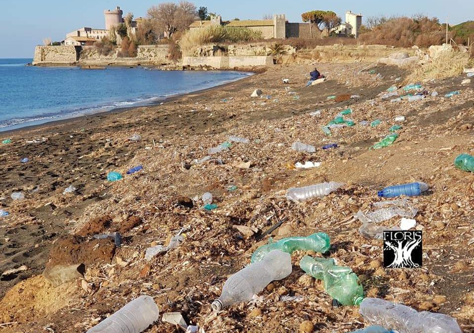 Lazio Plastic Free Fondi Per Le Spiagge Pulite A