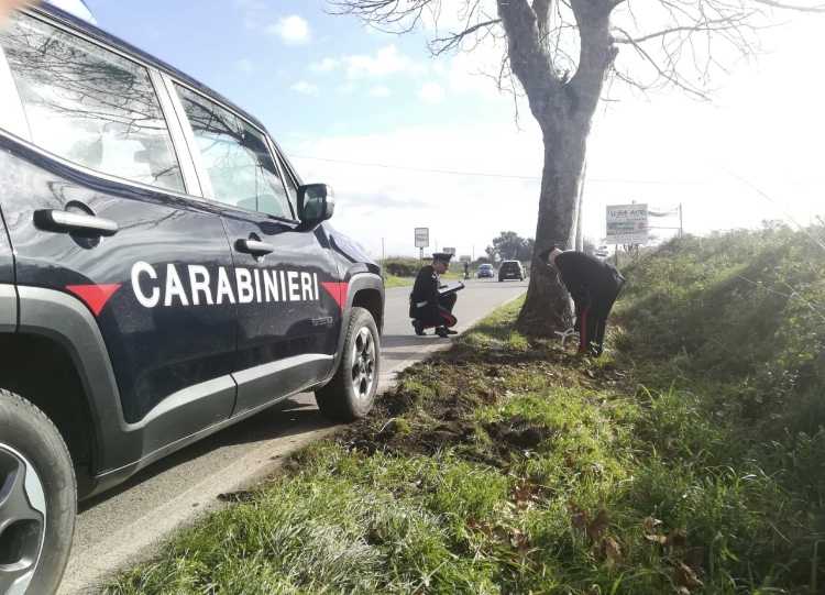 Incidente Ad Anguillara: Auto Contro Un Albero, Morta 20enne • Terzo ...