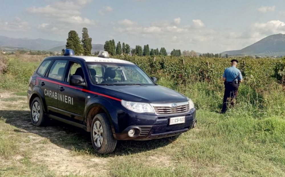 Tragedia In Campagna: Schiacciato Dal Trattore Che Si è Ribaltato ...