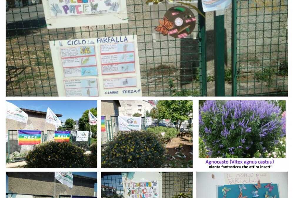 IC Marina di Cerveteri, gli allievi della primaria inaugurano Il giardino  delle farfalle • Terzo Binario News