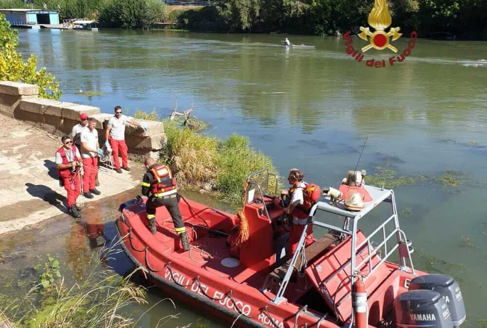 Carcassa Di Mucca Gettata Nel Tevere In Un Sacco Recupero Dei Vigili Del Fuoco • Terzo Binario News 