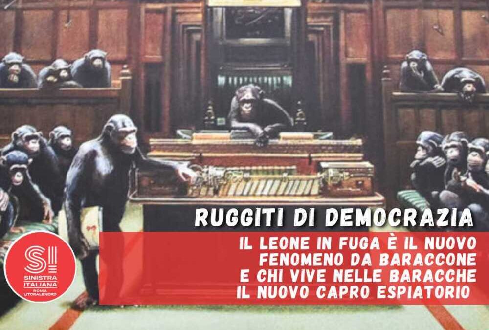 Si Ladispoli su Kimba e sgombero: “Fenomeni, da baraccone alle baracche”