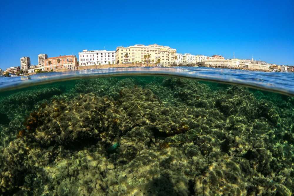 Cartoline da Civitavecchia: le foto del nuovo Calendario 2024 in mostra al Museo Archeologico