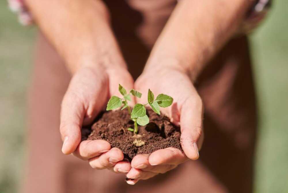 Compostaggio a Fiumicino, come chiedere la riduzione sulla tassa dei rifiuti