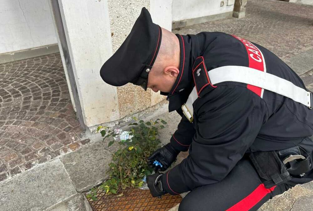 Lavoro Serrato Anche A Pasqua Per I Carabinieri, Blitz Antidroga Porta ...