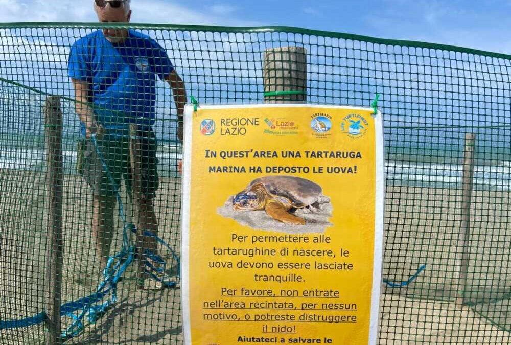 Tartaruga marina depone le uova a Sant’Agostino, l’ultima volta fu 6 anni fa