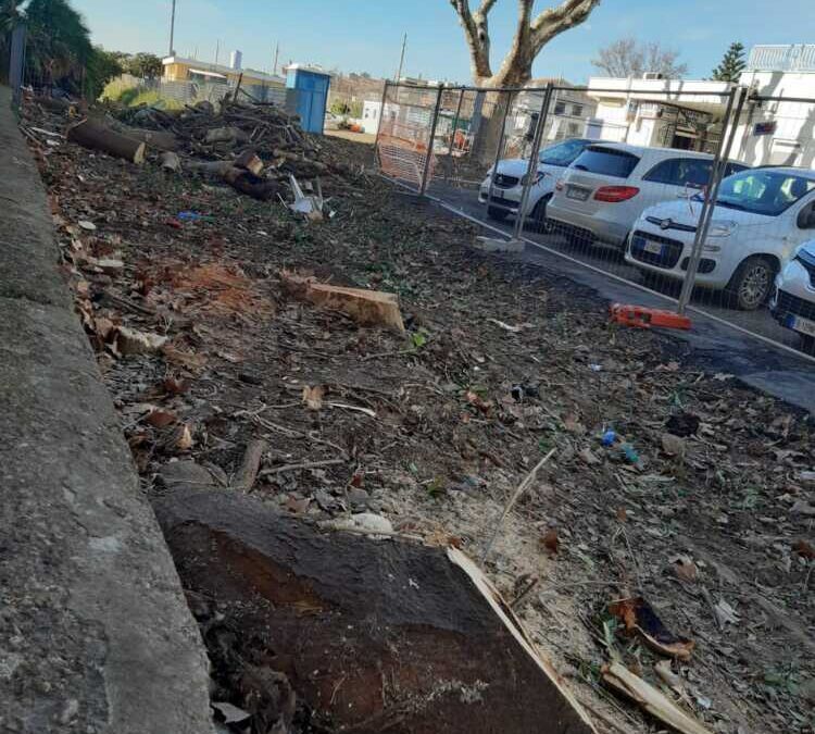 Comitato “2 ottobre”: “Mal gestiti verde urbano e aree protette di Santa Marinella”