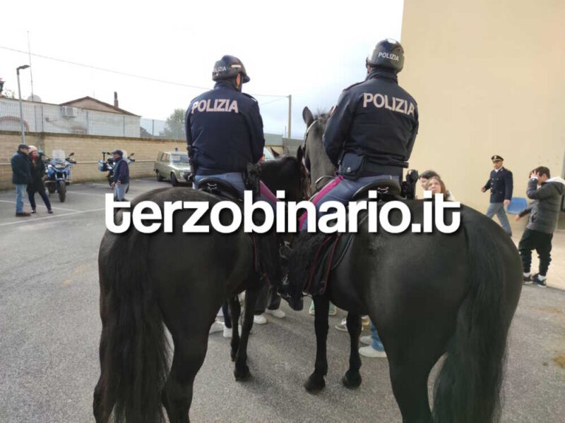 commissariato polizia ladispoli reparto cavallo