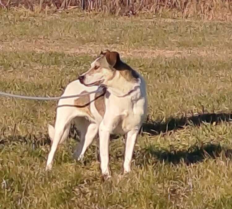 Betty, Dora e Amilcare tre storie tristi che si meritano un lieto fine