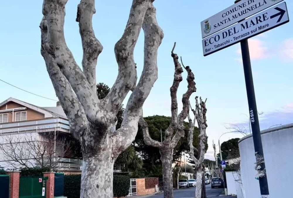 Rete idrica di Valdambrini, a Santa Marinella decisa la tempistica degli interventi